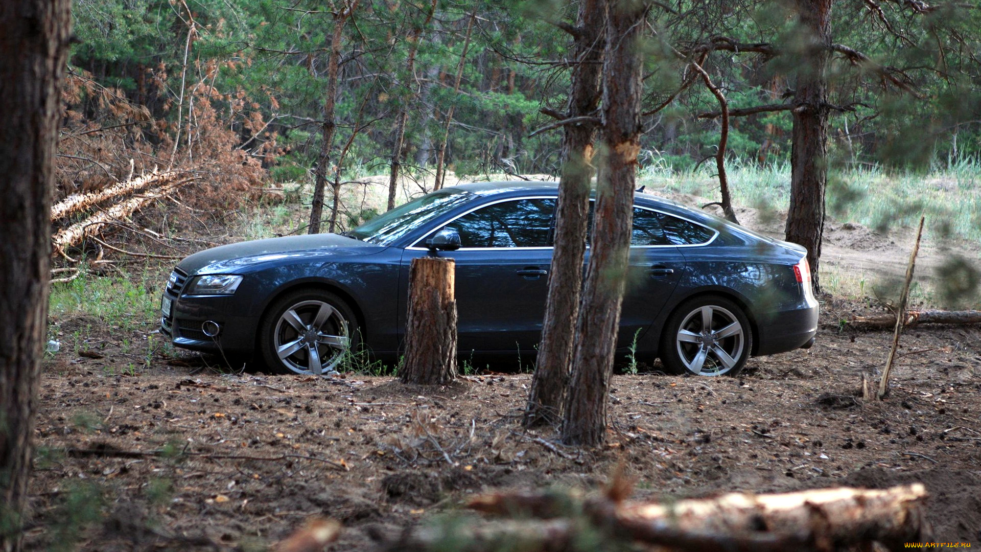 audi, a5, , , volkswagen, group